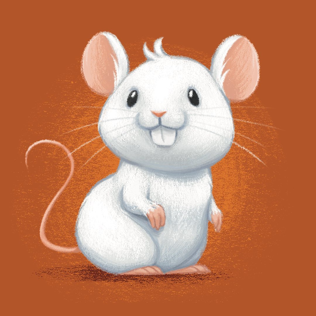 White mouse in a orange background