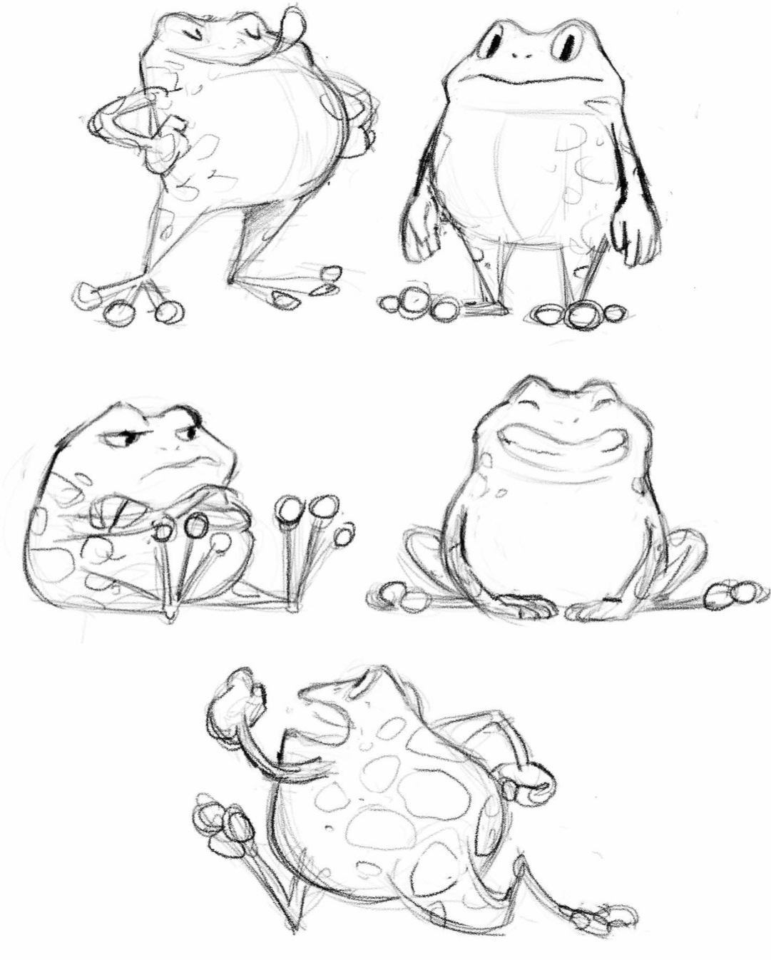 Skecthes of the frog in varied poses